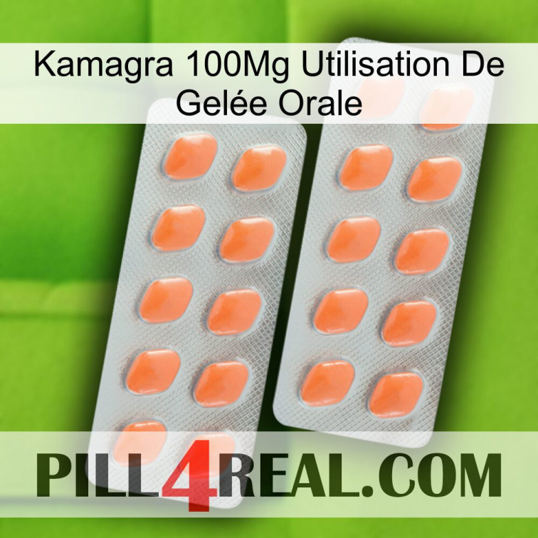Kamagra 100Mg Utilisation De Gelée Orale 27